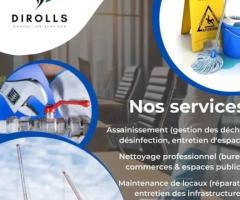 Dirolls consulting services