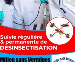 Services de lutte contre les insectes, les microbes, germes pathogènes et nettoyage.
