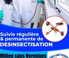 Services de lutte contre les insectes, les microbes, germes pathogènes et nettoyage.