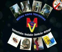 Services de lutte contre les insectes, les microbes, germes pathogènes et nettoyage.