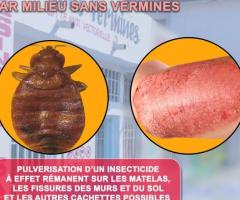 Services de lutte contre les insectes, les microbes, germes pathogènes et nettoyage.