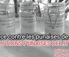 Solutions Punaises de lit - 1